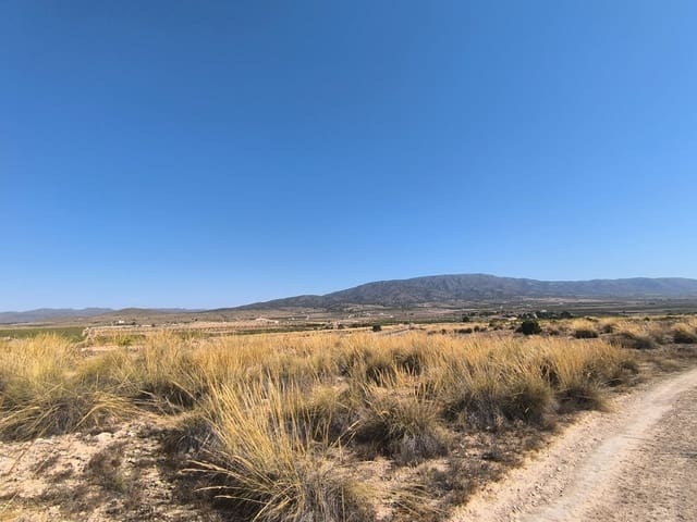 Bouwgrond te koop in Pinoso - € 32.000 (Ref: 9313484)