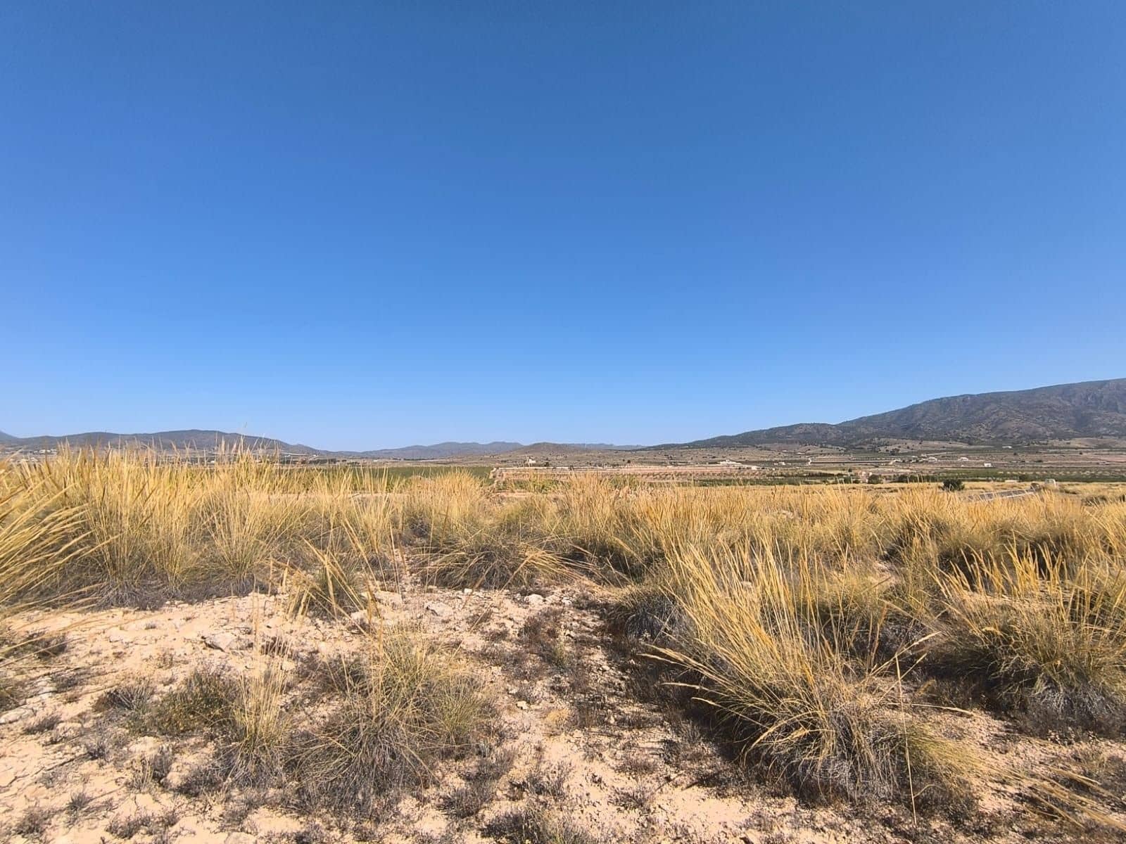 Byggetomt til salgs i Pinoso - € 32 000 (Ref: 9313484)