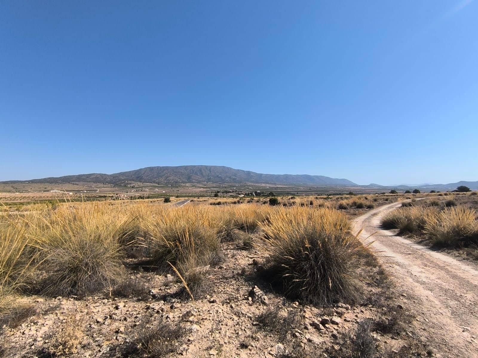 Byggetomt til salgs i Pinoso - € 32 000 (Ref: 9313484)