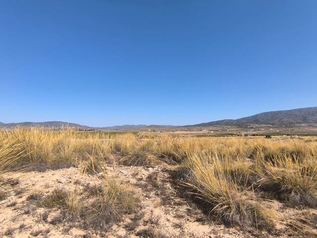 Bouwgrond te koop in Pinoso - € 32.000 (Ref: 9313484)