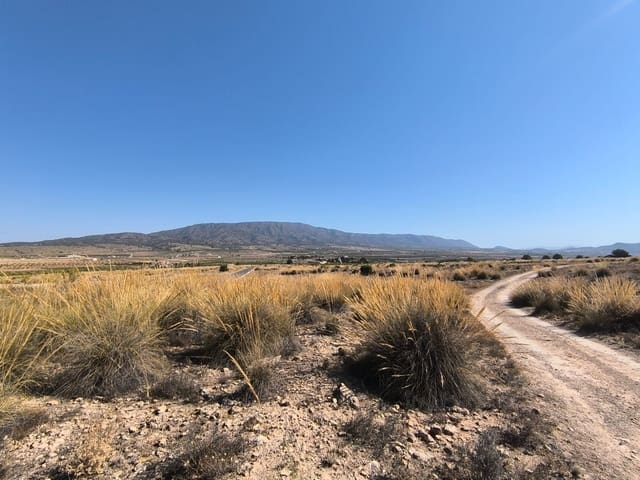 Bouwgrond te koop in Pinoso - € 32.000 (Ref: 9313484)