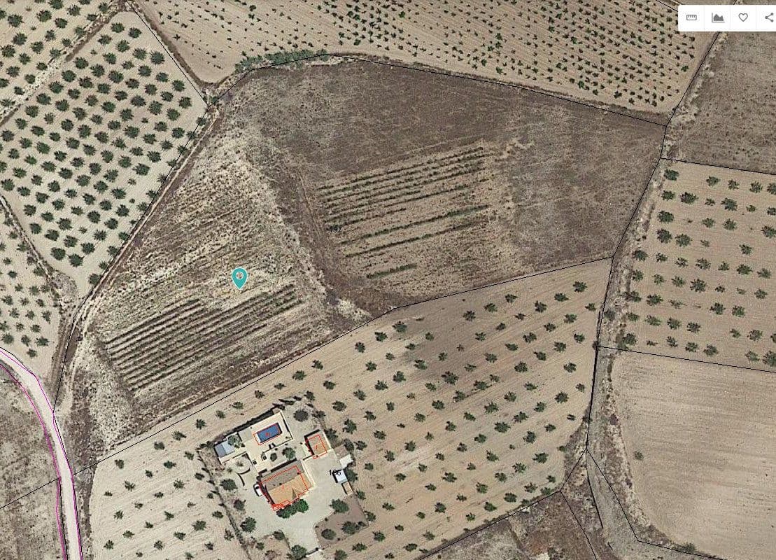 Area Edificabile in vendita in Pinoso - 30.995 € (Rif: 9313666)