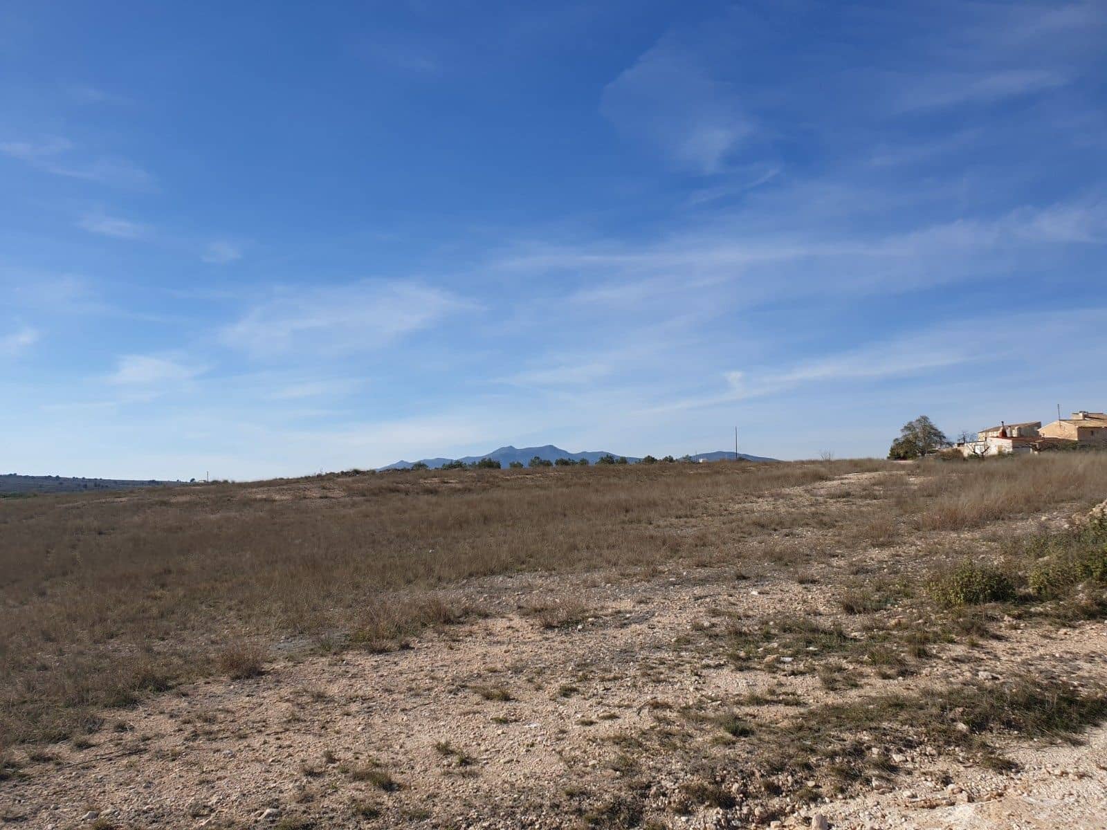 Area Edificabile in vendita in Pinoso - 30.995 € (Rif: 9313666)