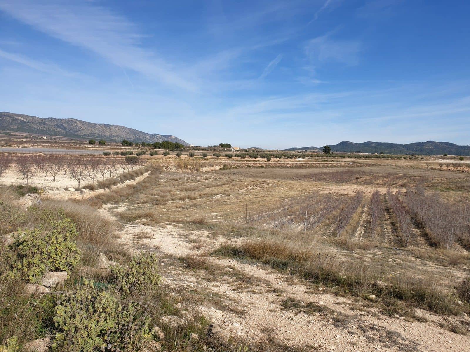 Area Edificabile in vendita in Pinoso - 30.995 € (Rif: 9313666)