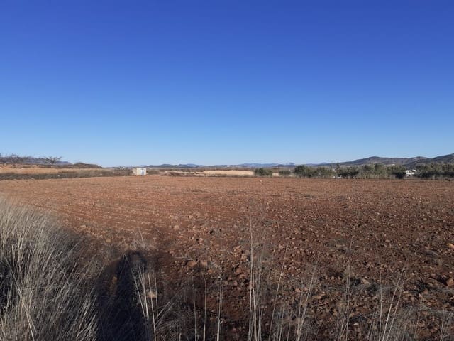 Bouwgrond te koop in Pinoso - € 35.995 (Ref: 9313674)