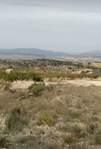 Building Plot for sale in Abanilla - € 22,950 (Ref: 9313683)
