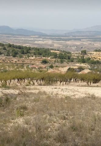 Building Plot for sale in Abanilla - € 22,950 (Ref: 9313683)
