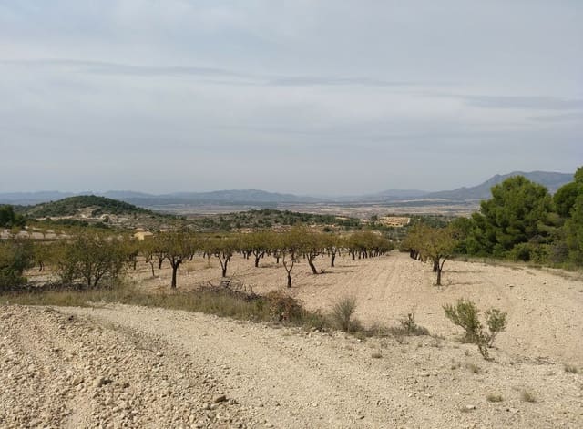 Building Plot for sale in Abanilla - € 22,950 (Ref: 9313683)