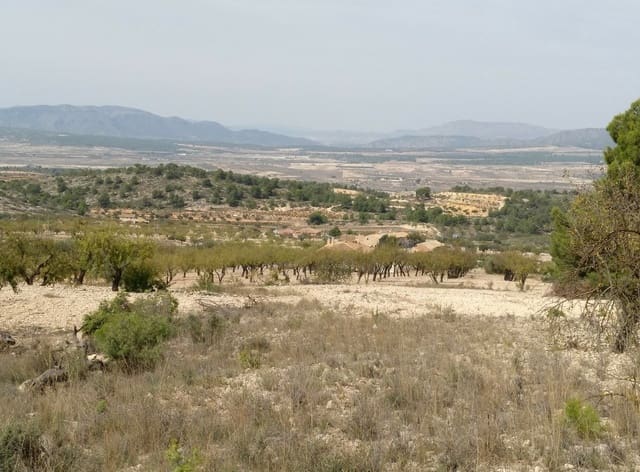Building Plot for sale in Abanilla - € 22,950 (Ref: 9313683)