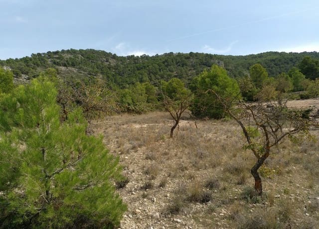 Building Plot for sale in Abanilla - € 22,950 (Ref: 9313683)