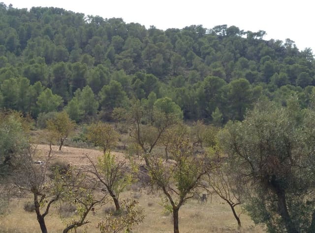 Building Plot for sale in Abanilla - € 22,950 (Ref: 9313683)