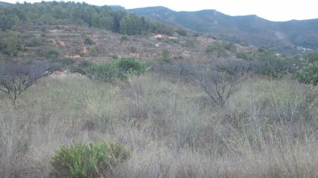 Bouwgrond te koop in Gandia - € 179.995 (Ref: 9313686)