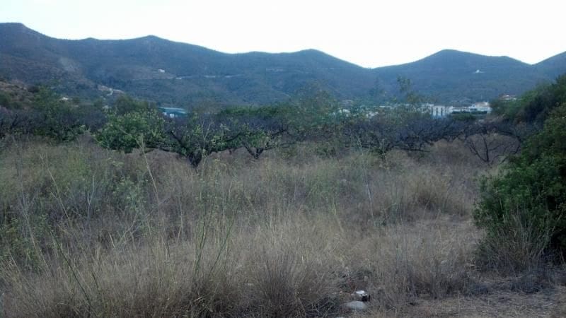 Byggetomt til salgs i Gandia - € 179 995 (Ref: 9313686)