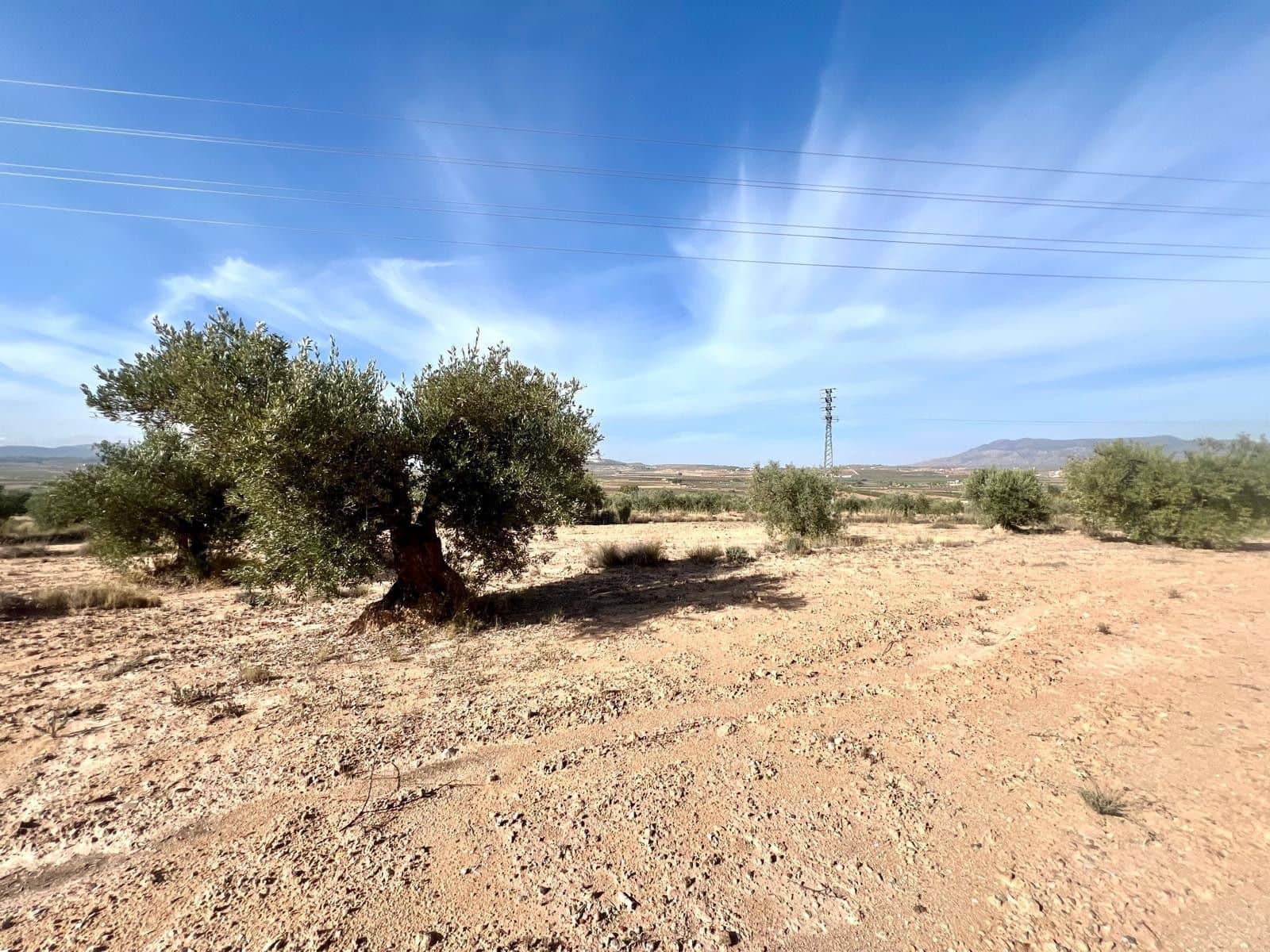 Finca/Maison de Campagne à vendre à Pinoso - 50 000 € (Ref: 9338450)