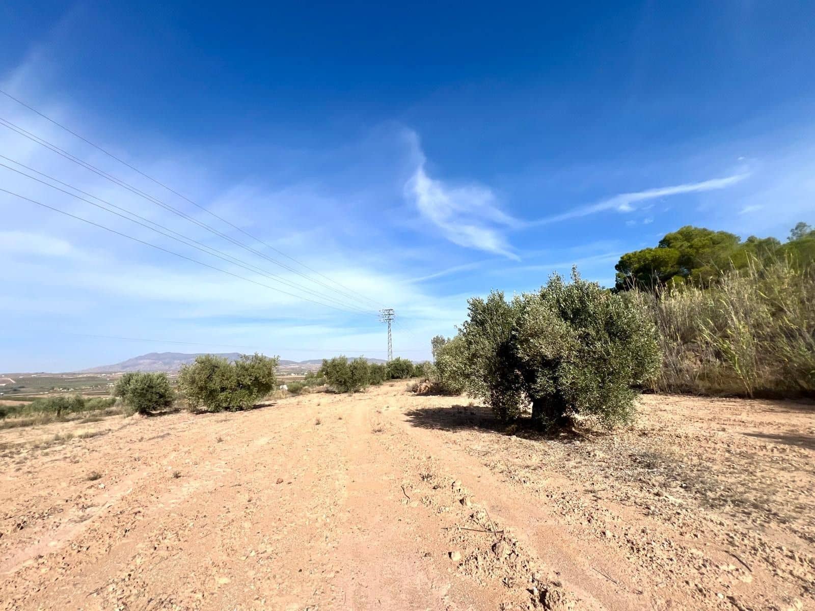 Finca/Maison de Campagne à vendre à Pinoso - 50 000 € (Ref: 9338450)