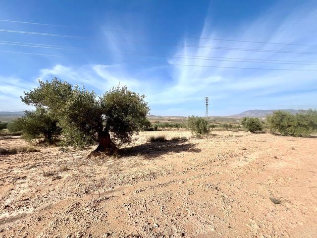 Finca/Landehus til salg i Pinoso - € 50.000 (Ref: 9338450)