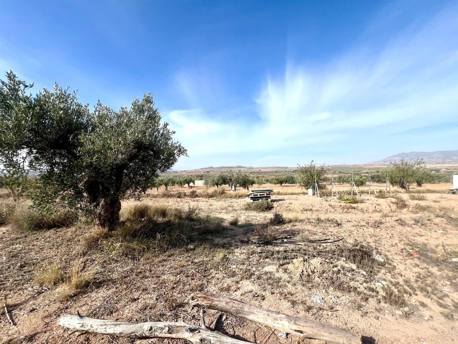Finca/Maison de Campagne à vendre à Pinoso - 50 000 € (Ref: 9338450)