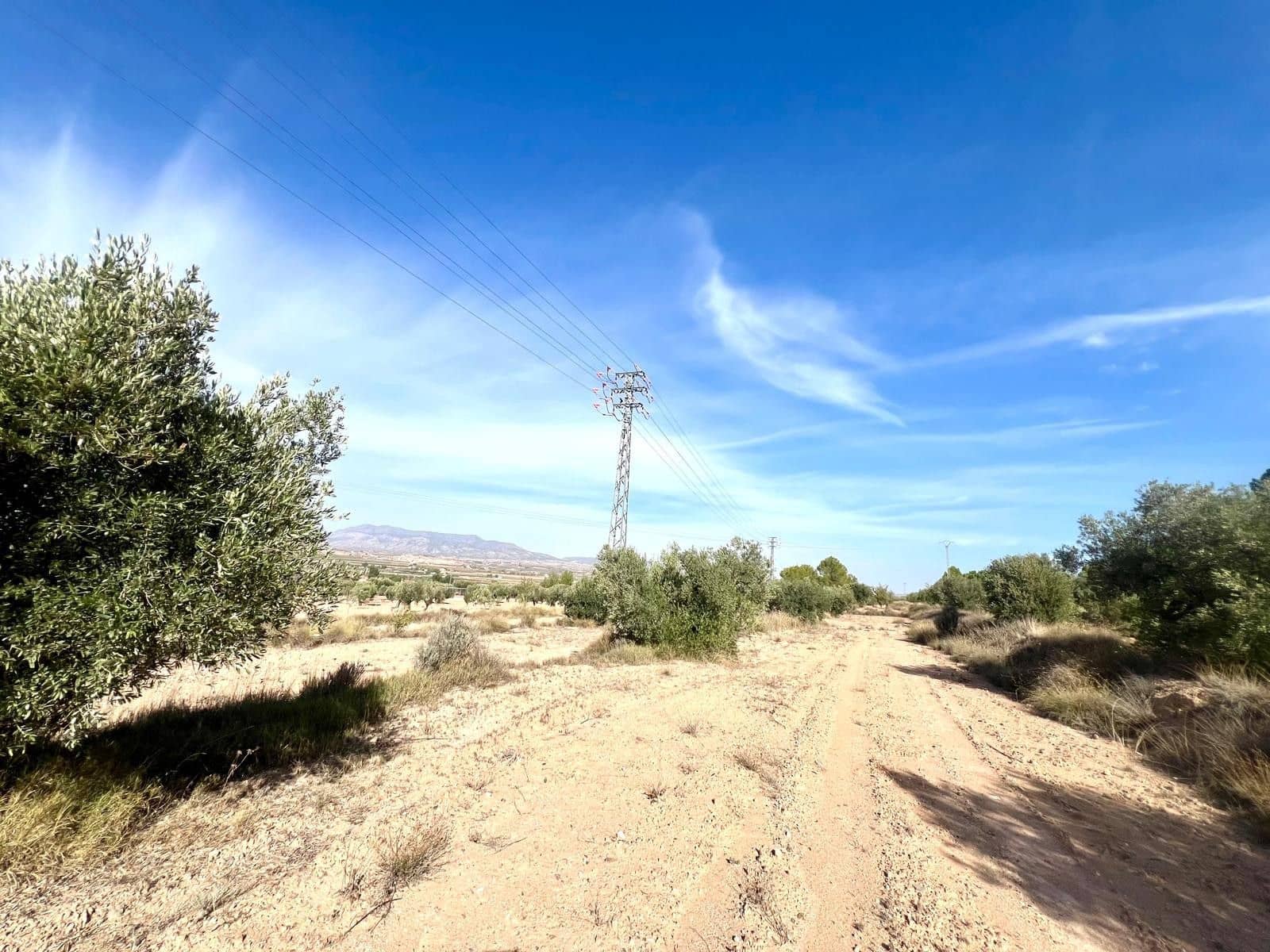 Finca/Maison de Campagne à vendre à Pinoso - 50 000 € (Ref: 9338450)