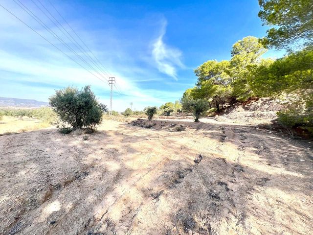 Finca/Landehus til salg i Pinoso - € 50.000 (Ref: 9338450)