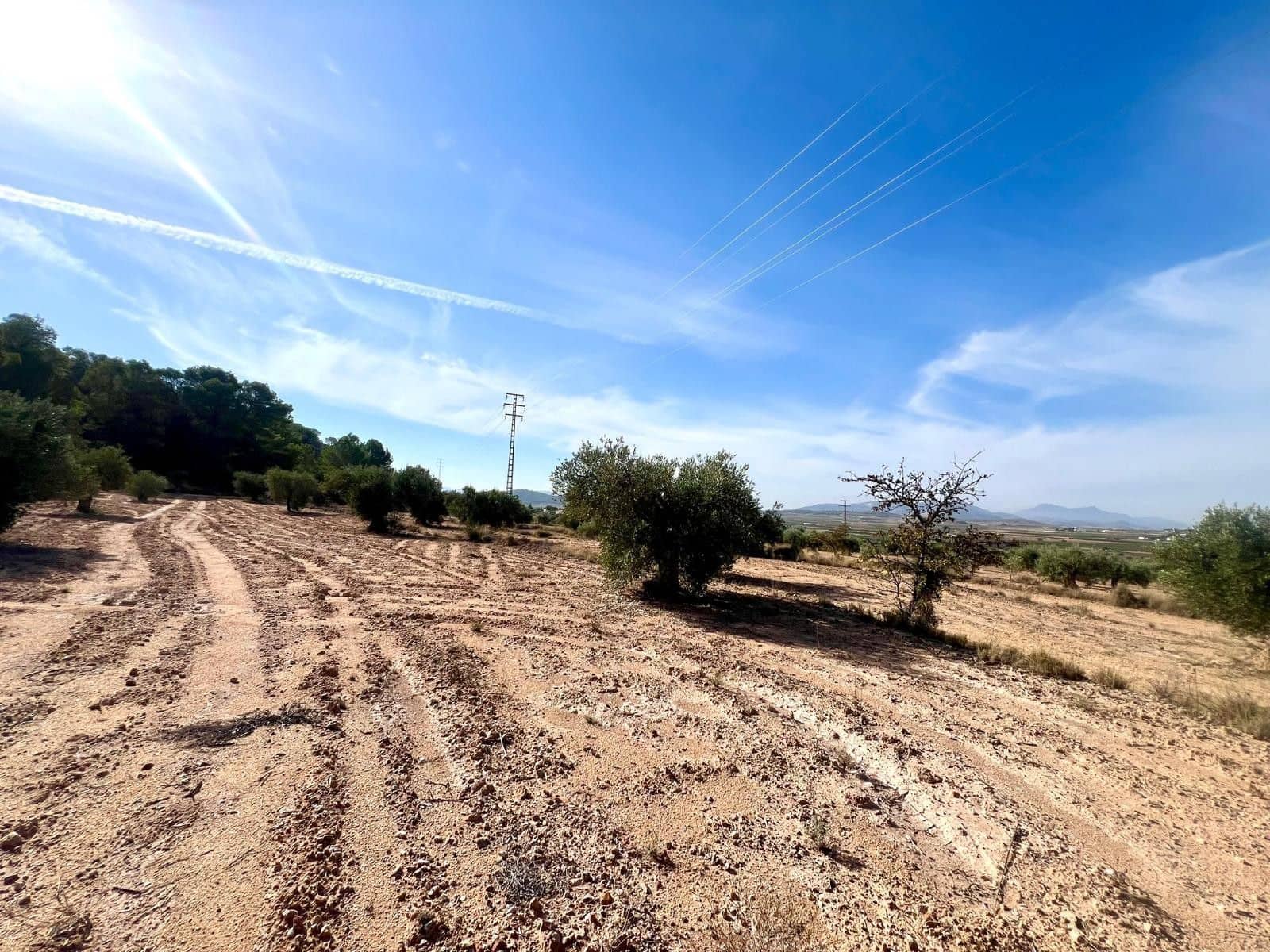 Finca/Maison de Campagne à vendre à Pinoso - 50 000 € (Ref: 9338450)