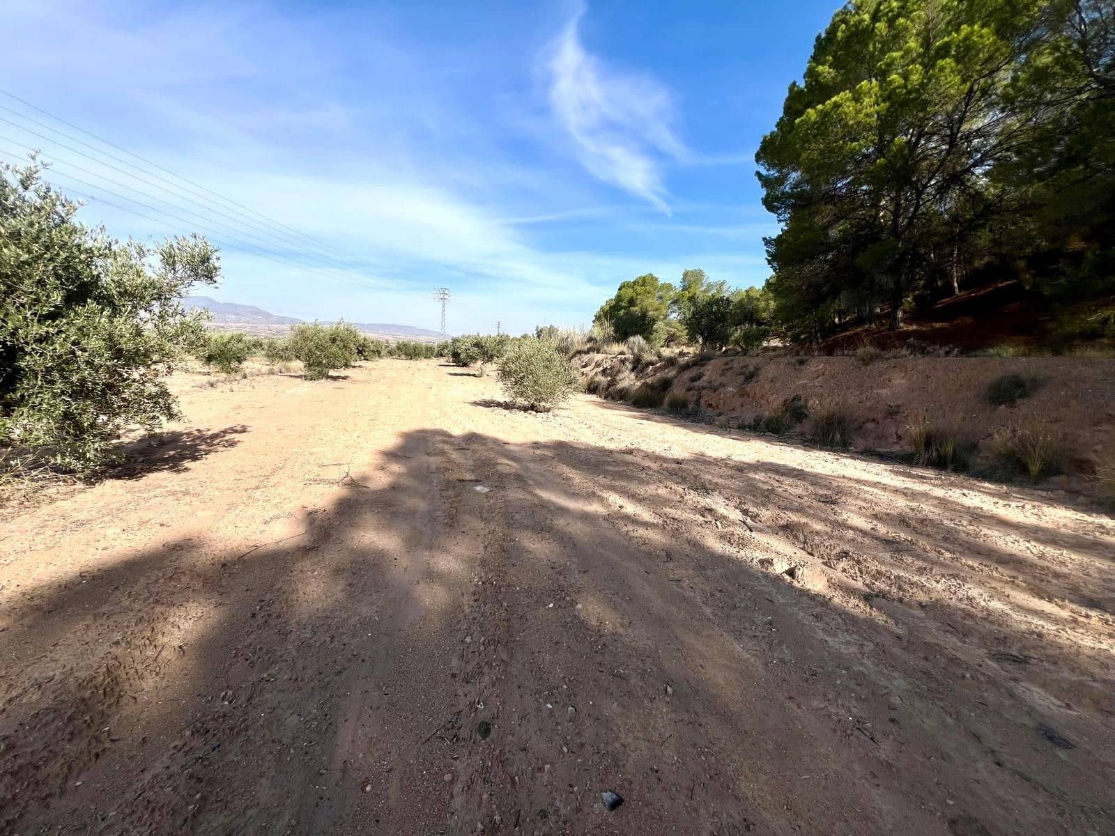 Finca/Maison de Campagne à vendre à Pinoso - 50 000 € (Ref: 9338450)