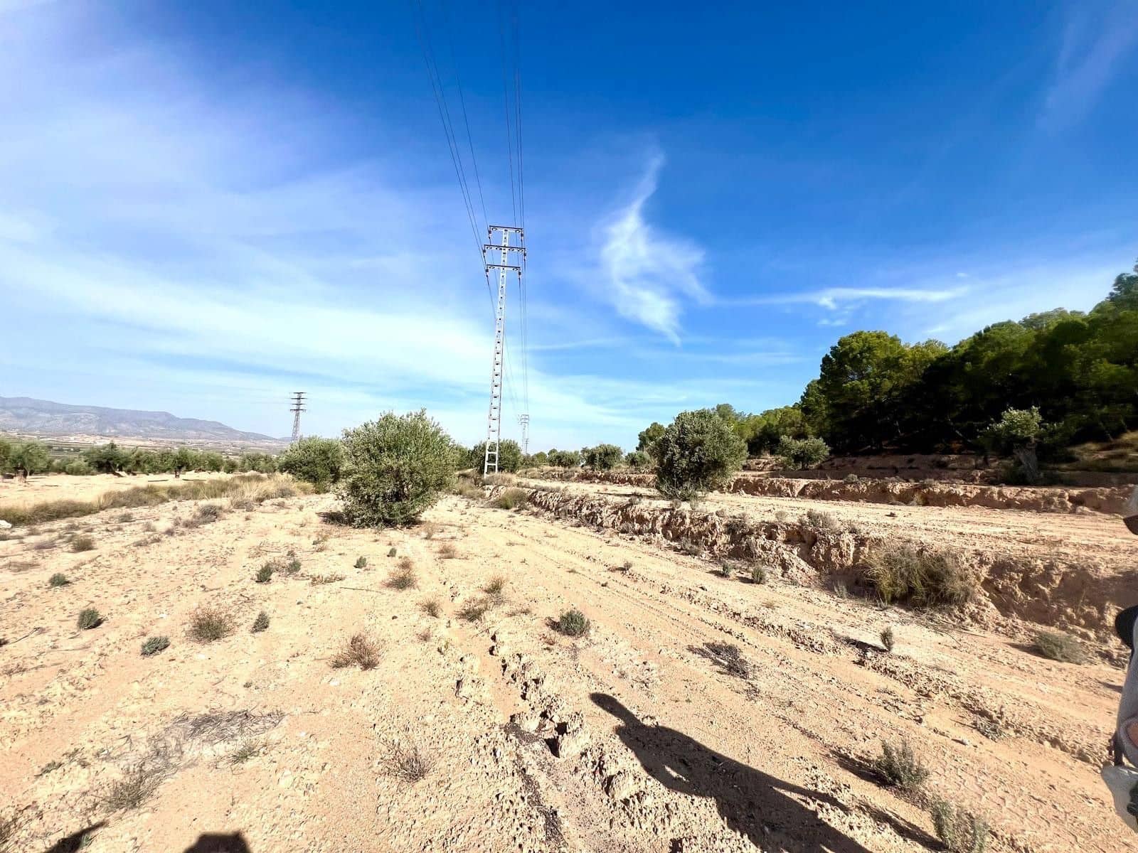Finca/Maison de Campagne à vendre à Pinoso - 50 000 € (Ref: 9338450)