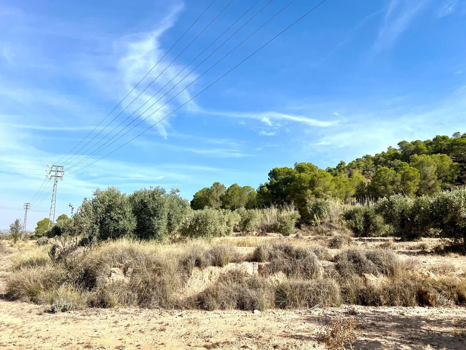 Finca/Maison de Campagne à vendre à Pinoso - 50 000 € (Ref: 9338450)