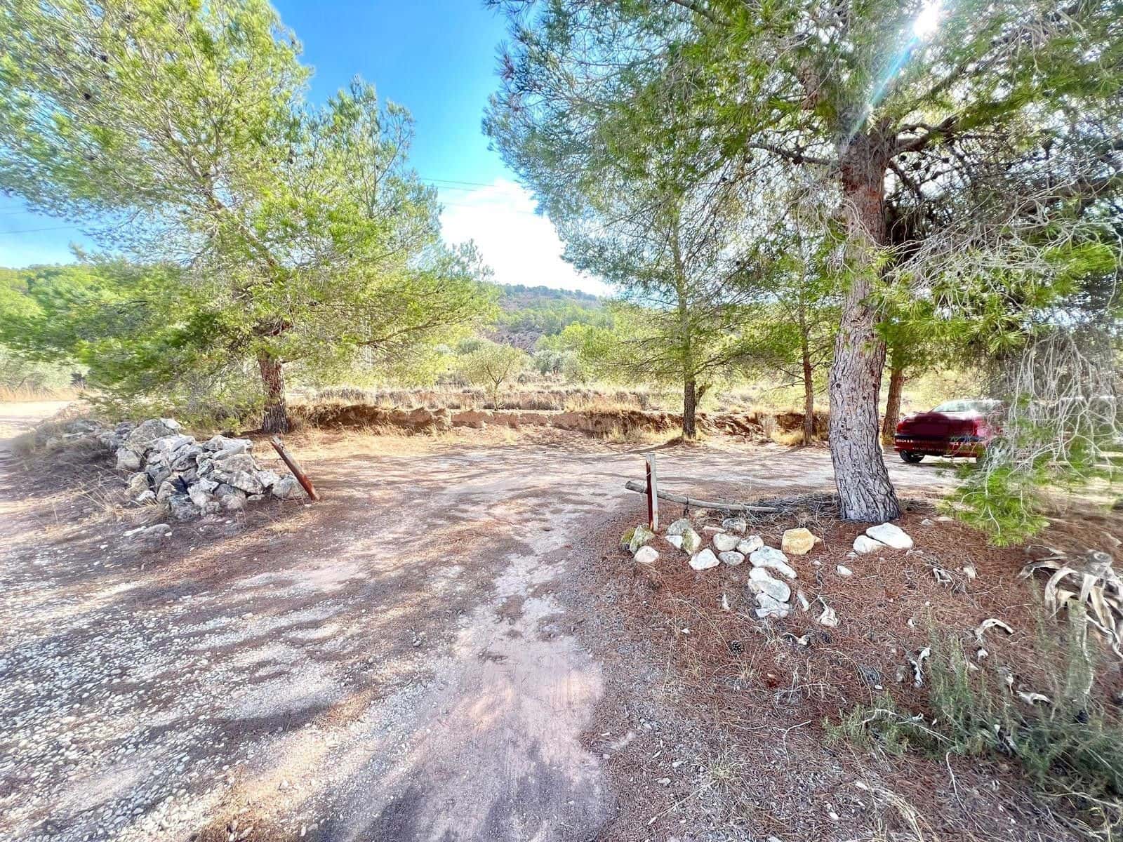 Finca/Maison de Campagne à vendre à Pinoso - 50 000 € (Ref: 9338450)
