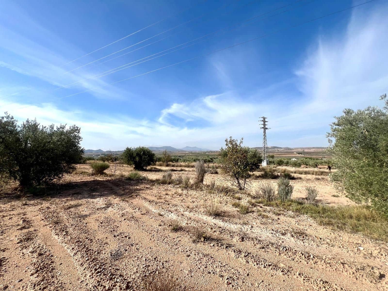 Finca/Maison de Campagne à vendre à Pinoso - 50 000 € (Ref: 9338450)