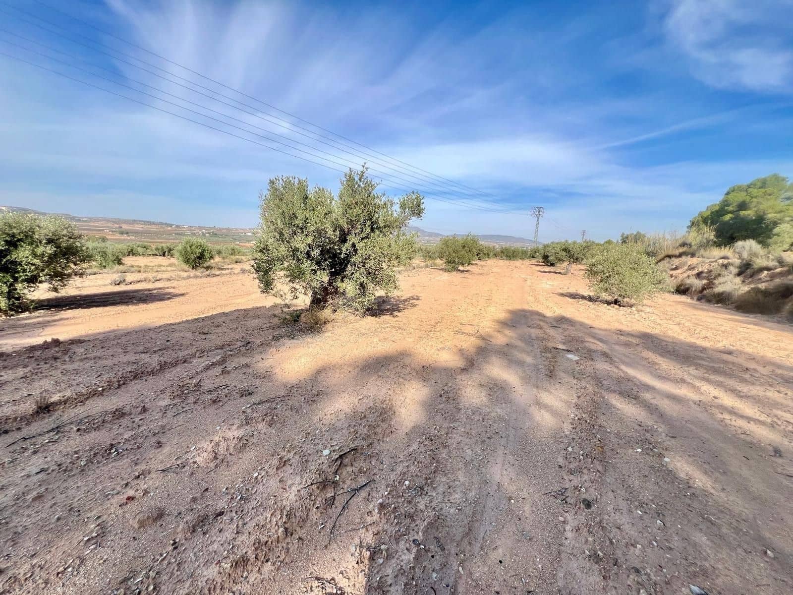 Finca/Maison de Campagne à vendre à Pinoso - 50 000 € (Ref: 9338450)