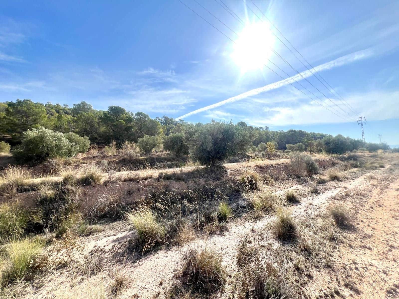 Finca/Maison de Campagne à vendre à Pinoso - 50 000 € (Ref: 9338450)