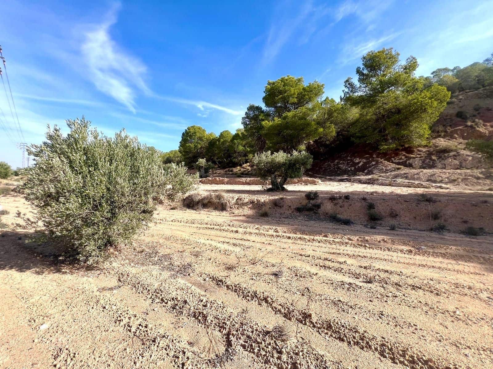Finca/Maison de Campagne à vendre à Pinoso - 50 000 € (Ref: 9338450)