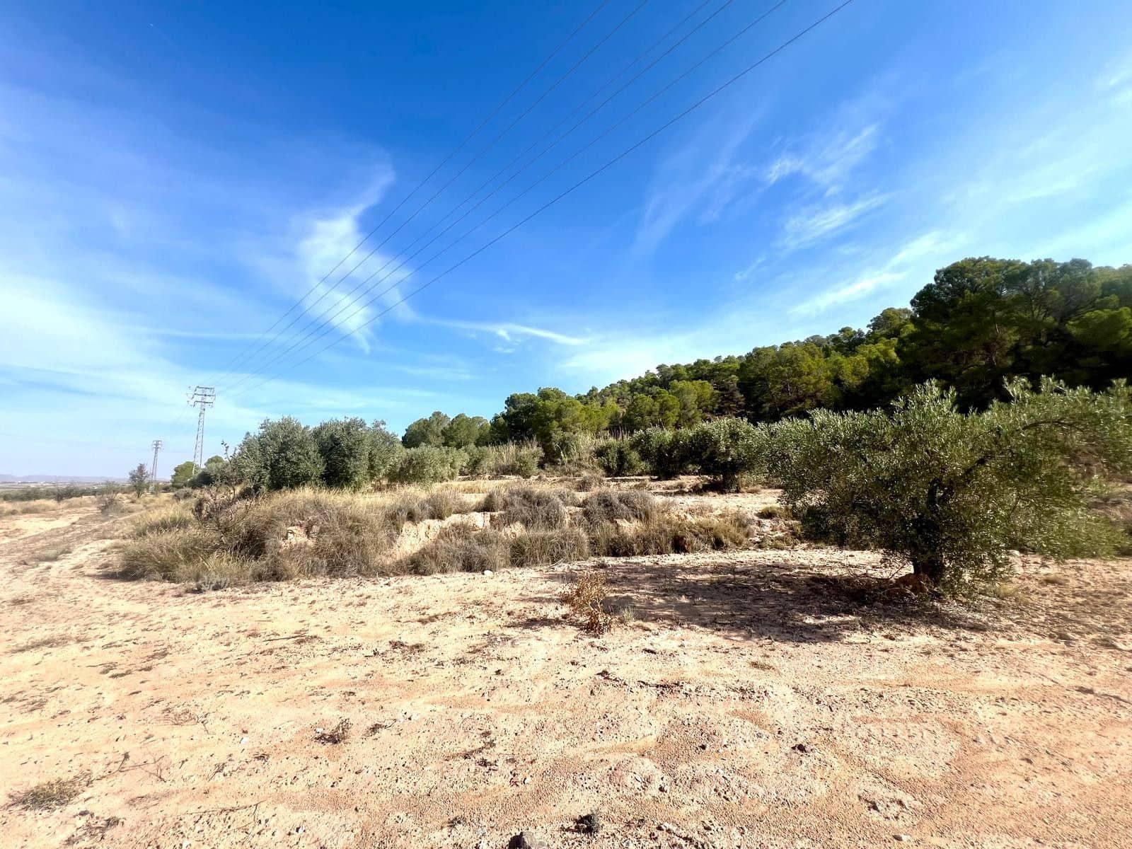 Finca/Maison de Campagne à vendre à Pinoso - 50 000 € (Ref: 9338450)