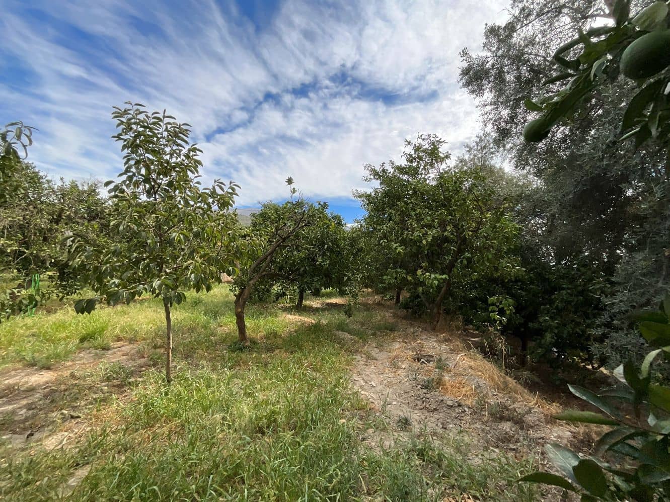 Undeveloped Land for sale in Chite - € 24,000 (Ref: 9588067)