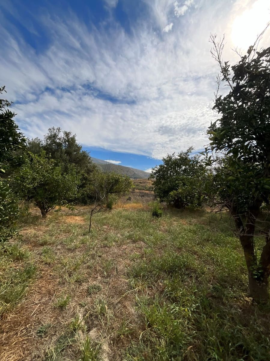 Undeveloped Land for sale in Chite - € 24,000 (Ref: 9588067)