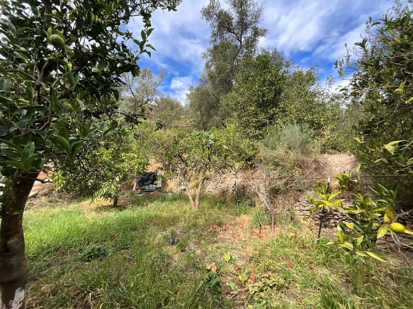 Undeveloped Land for sale in Chite - € 24,000 (Ref: 9588067)