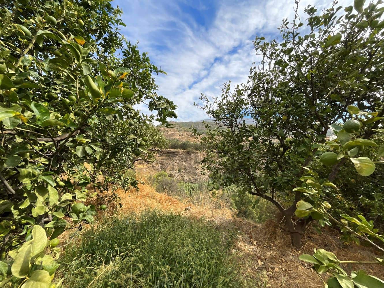 Undeveloped Land for sale in Chite - € 24,000 (Ref: 9588067)