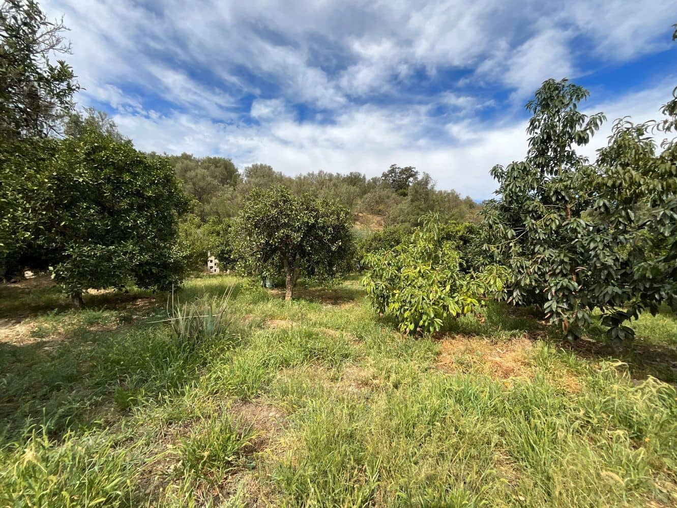 Undeveloped Land for sale in Chite - € 24,000 (Ref: 9588067)