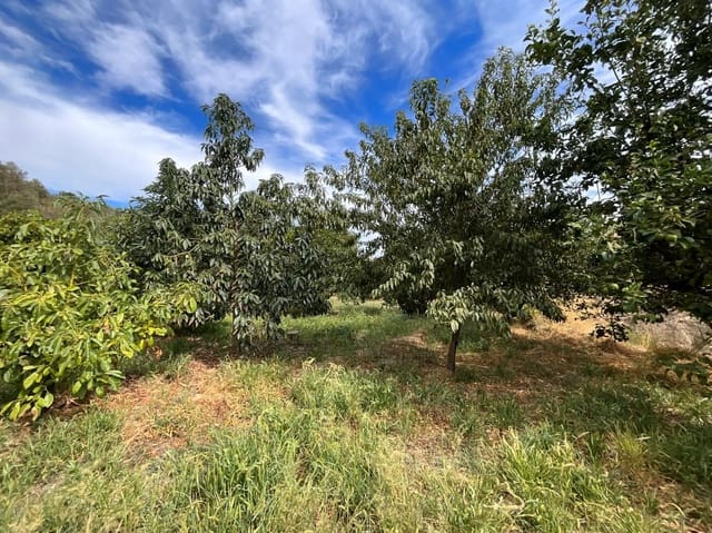 Grunde uden byggetilladelser til salg i Chite, Lecrín - € 24.000 (Ref: 9588067)