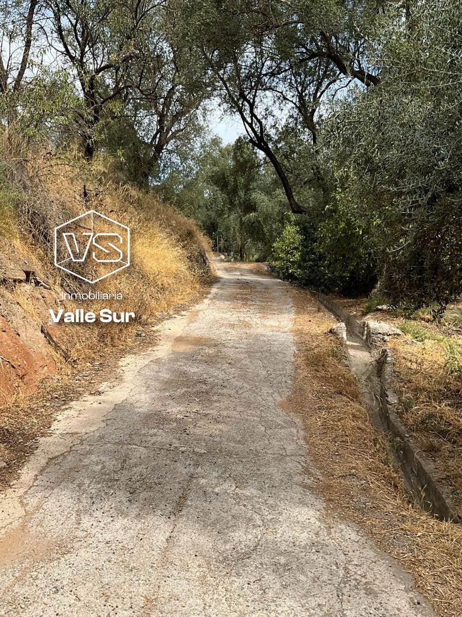 Undeveloped Land for sale in Chite - € 24,000 (Ref: 9588067)