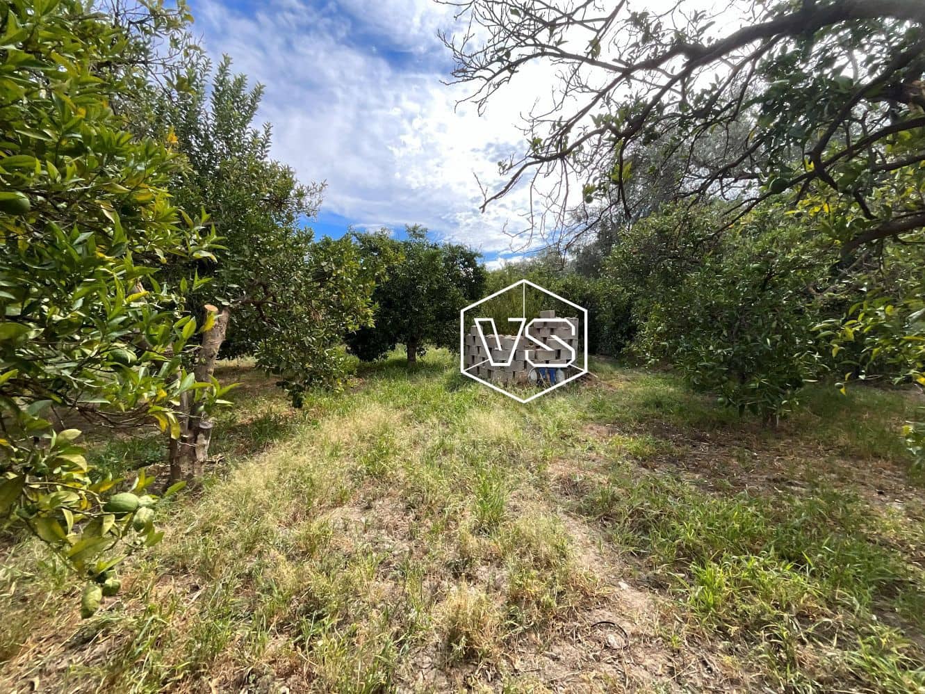 Undeveloped Land for sale in Chite - € 24,000 (Ref: 9588067)