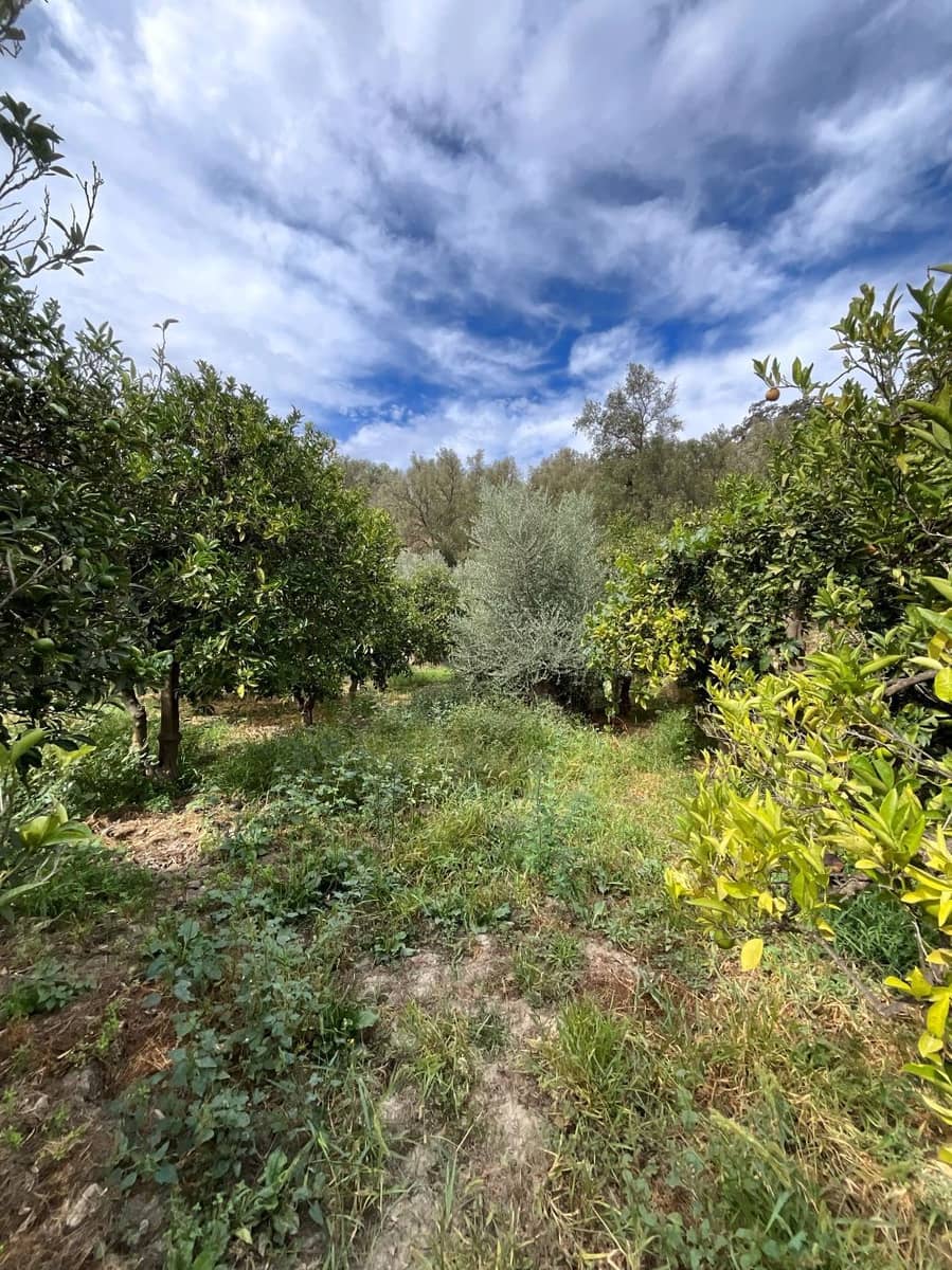 Undeveloped Land for sale in Chite - € 24,000 (Ref: 9588067)