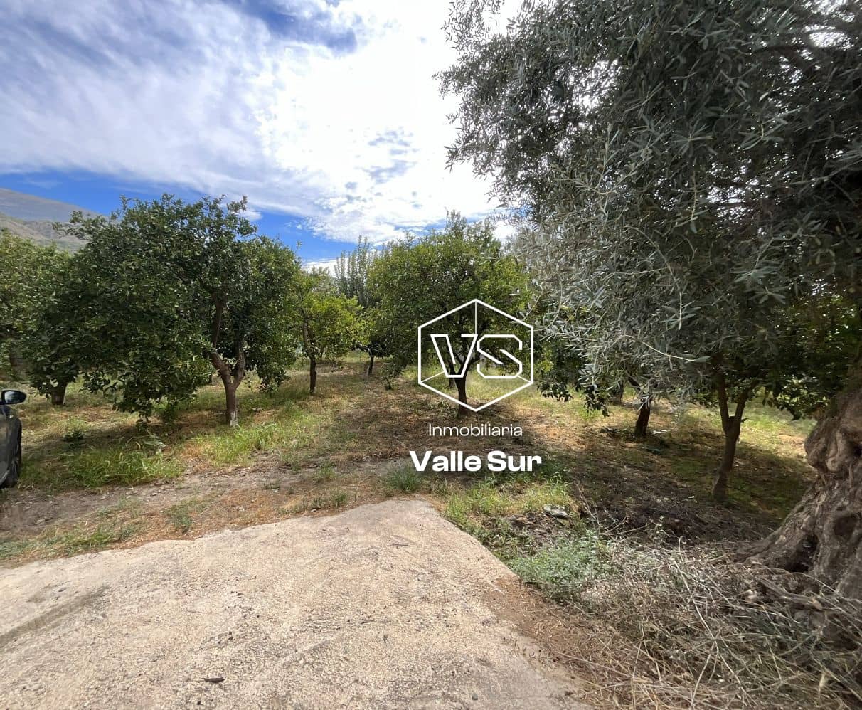 Undeveloped Land for sale in Chite - € 24,000 (Ref: 9588067)