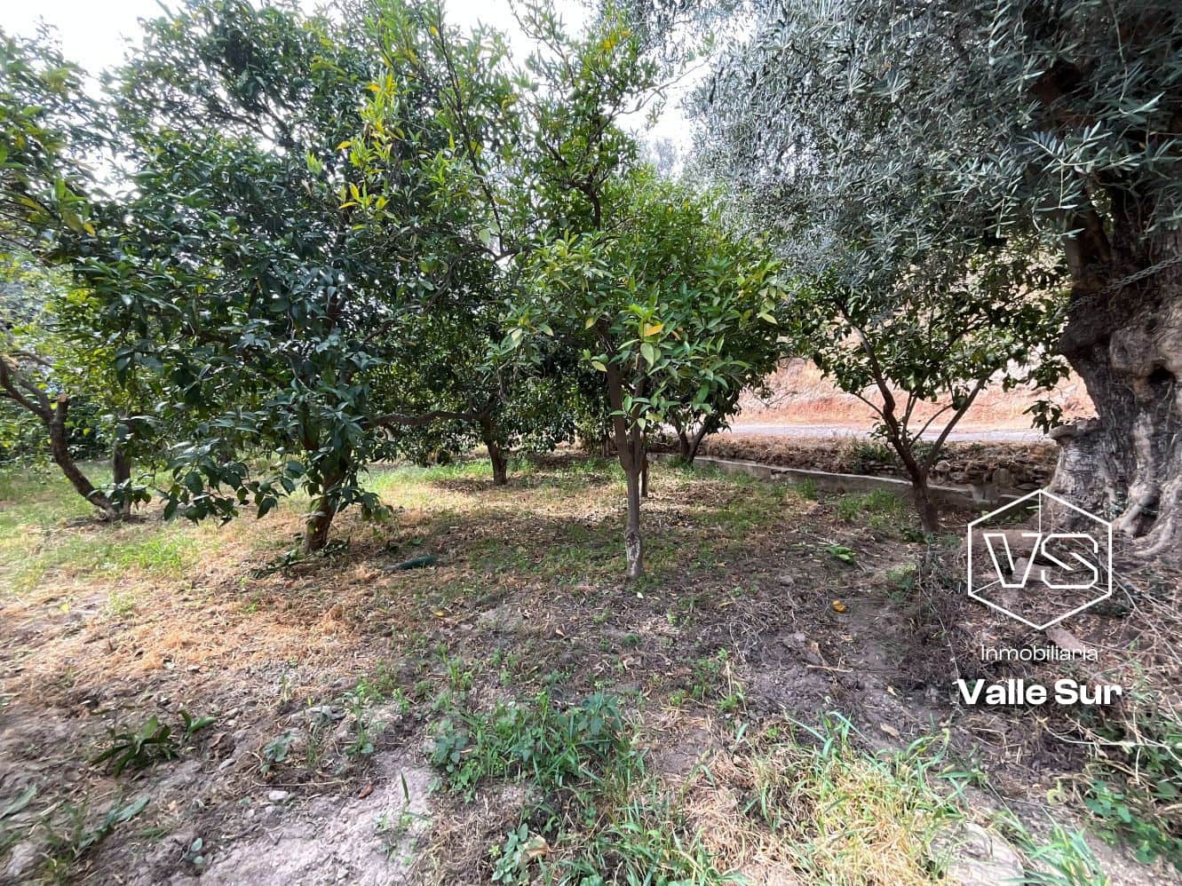 Undeveloped Land for sale in Chite - € 24,000 (Ref: 9588067)
