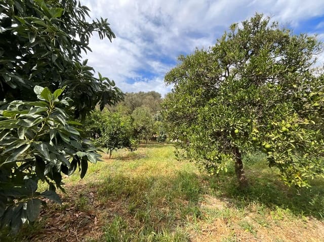 Grunde uden byggetilladelser til salg i Chite, Lecrín - € 24.000 (Ref: 9588067)