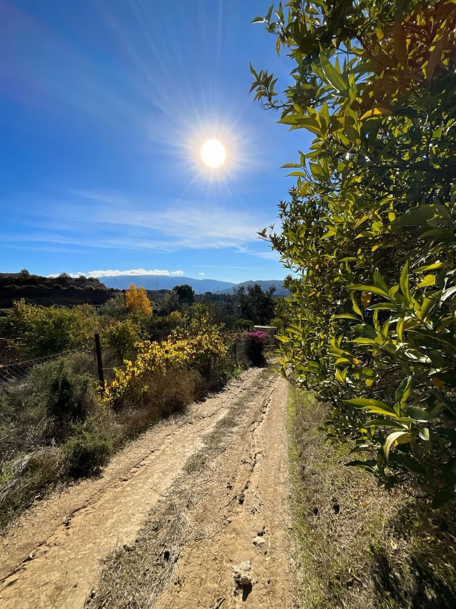 Undeveloped Land for sale in Beznar - € 76,000 (Ref: 9588069)