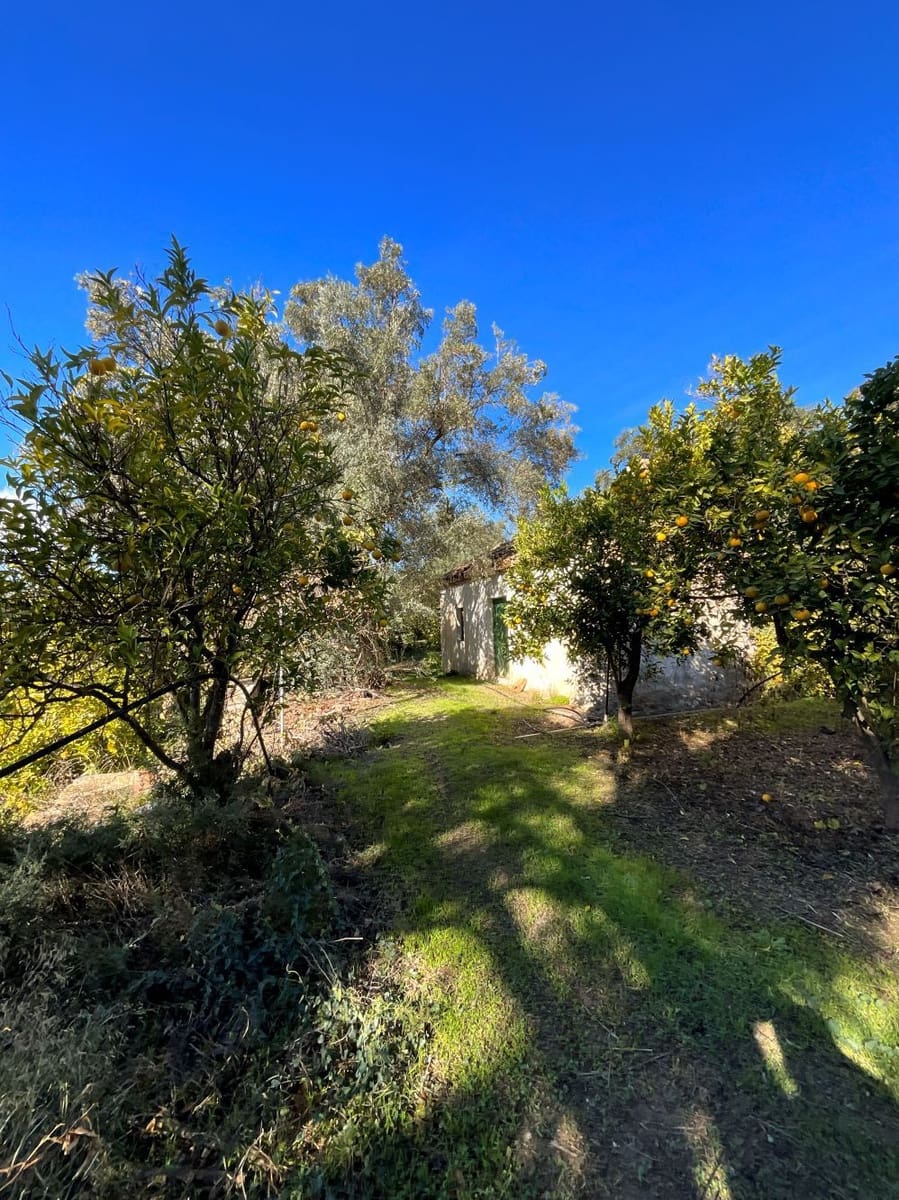 Undeveloped Land for sale in Beznar - € 76,000 (Ref: 9588069)