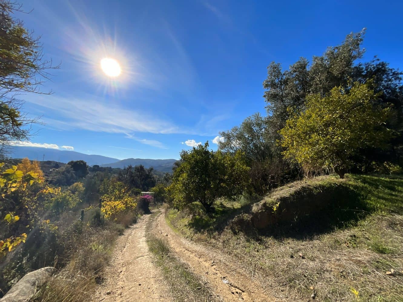 Undeveloped Land for sale in Beznar - € 76,000 (Ref: 9588069)