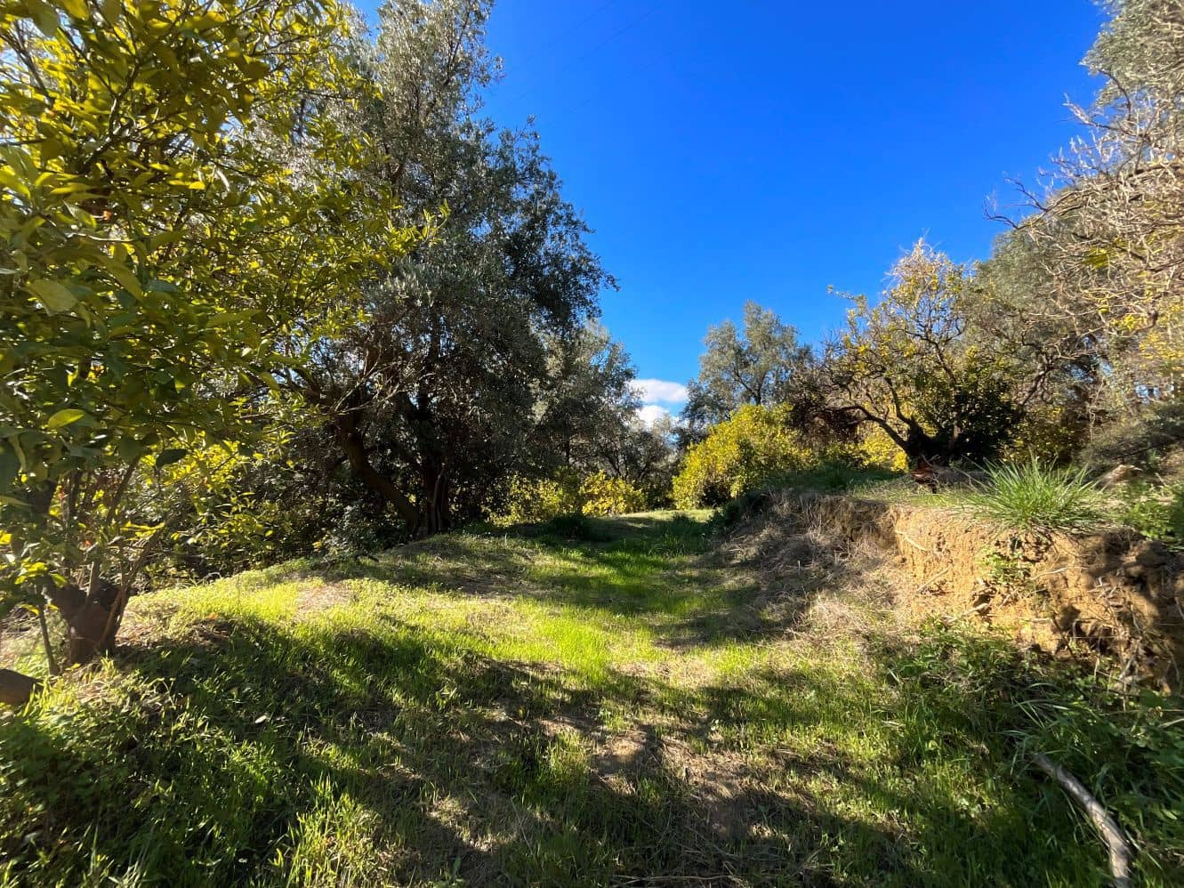 Undeveloped Land for sale in Beznar - € 76,000 (Ref: 9588069)