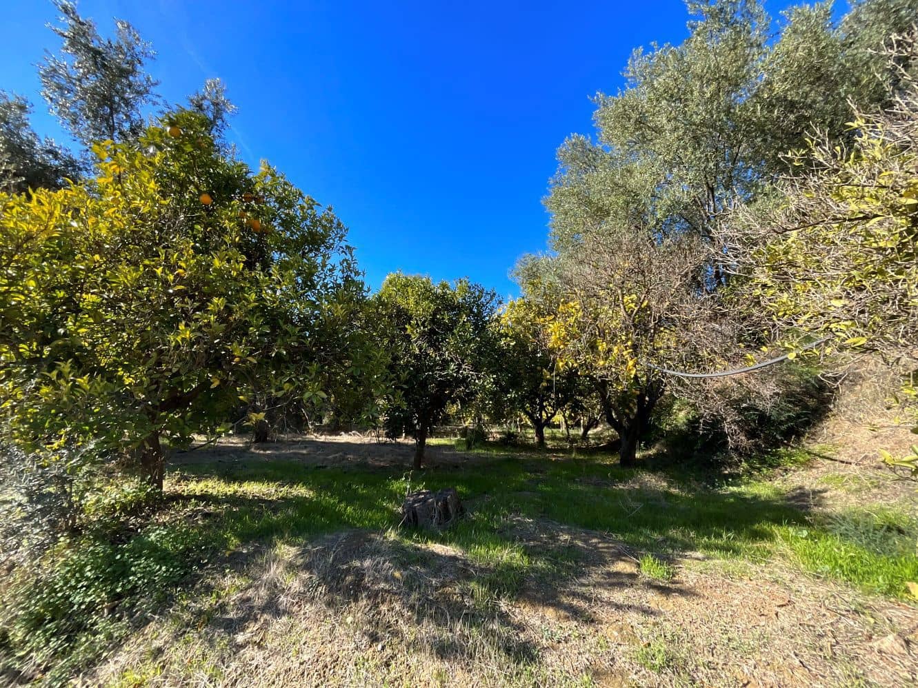 Undeveloped Land for sale in Beznar - € 76,000 (Ref: 9588069)